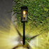 Low Voltage Garden Landscape Path Lawn Light